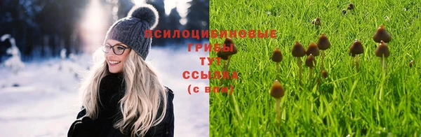 гашик Ачинск