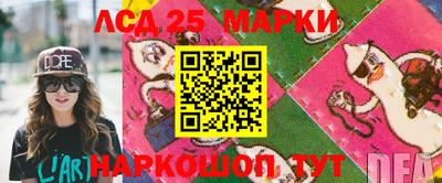 мдпв Гатчина