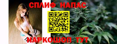 индика Гагарин