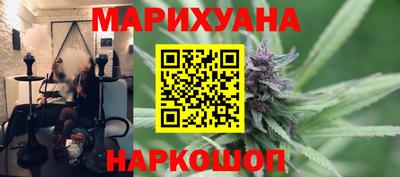 мдпв Гатчина