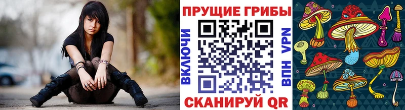 Галлюциногенные грибы мицелий купить наркотик Алексин