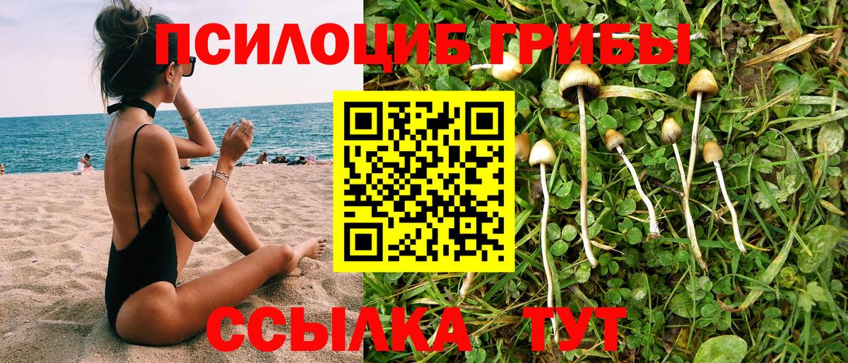 где можно купить   Вход с VPN  Алексин  Псилоцибиновые грибы мухоморы 