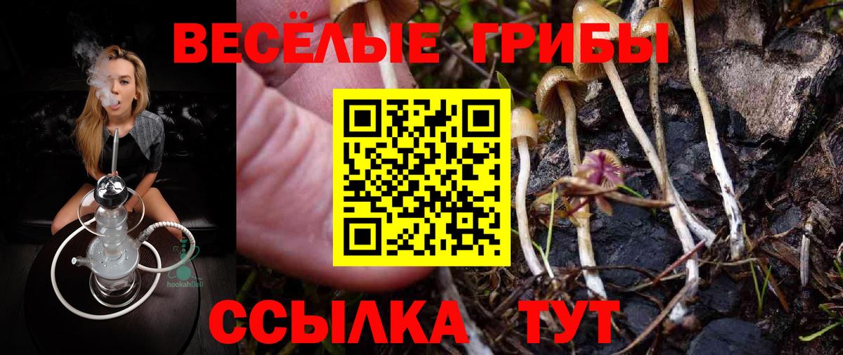 Галлюциногенные грибы ЛСД Алексин