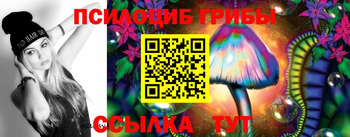 Псилоцибиновые грибы прущие грибы  Вход с VPN  Псилоцибиновые грибы мицелий  Алексин 