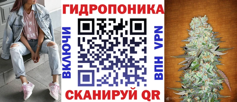 сайты даркнета телеграм  Алексин  Бошки Шишки марихуана  мега как зайти 